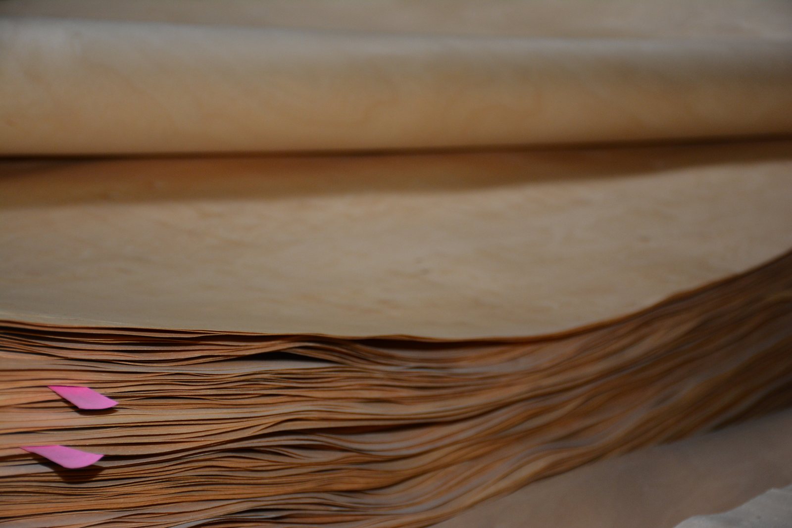 Stack of thin birch veneer sheets showing sheet flexibility and layering
