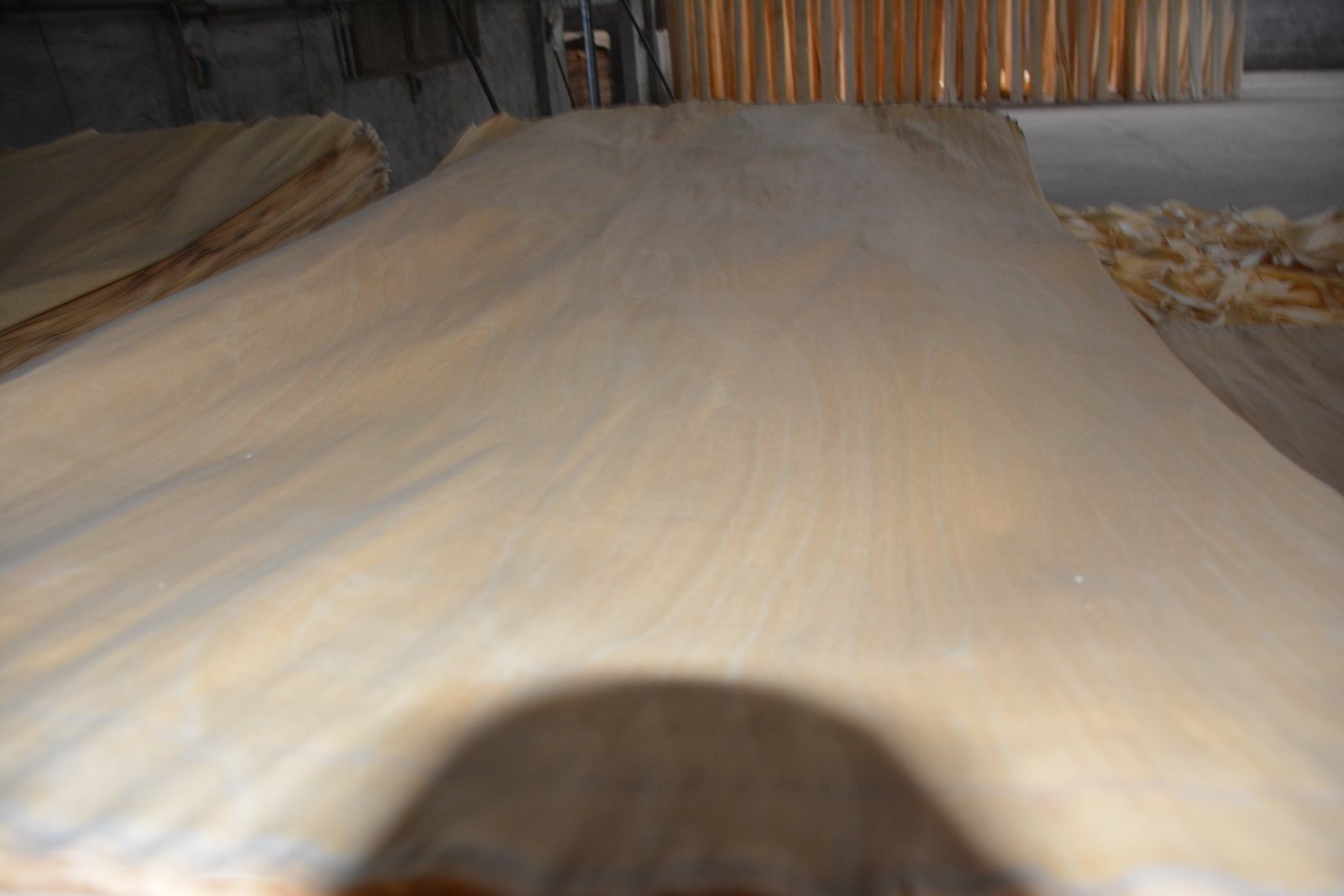 D plus grade birch veneer surface reference