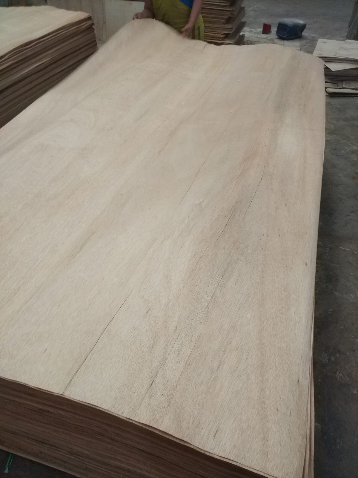 MLH veneer sheet surface prepared for visual selection