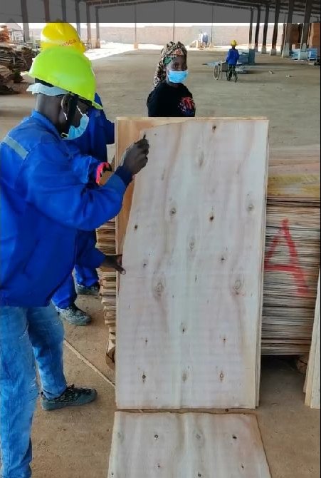 Mozambique Eucalyptus Veneer Sheets | A, B & C Grades