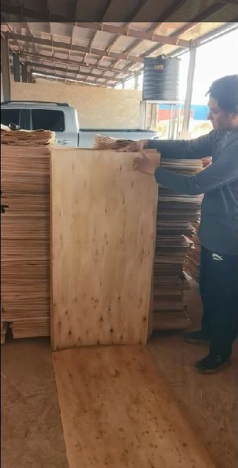 Mozambique Eucalyptus Veneer Sheets | A, B & C Grades