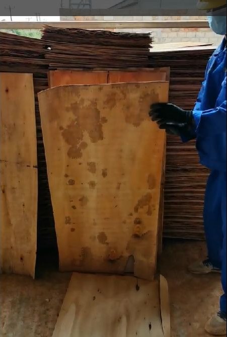 Mozambique Eucalyptus Veneer Sheets | A, B & C Grades