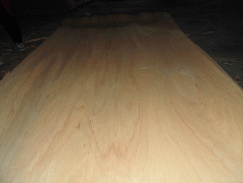 Mersawa Veneer Sheets | 0.35 mm & 0.5 mm, Multiple Grades