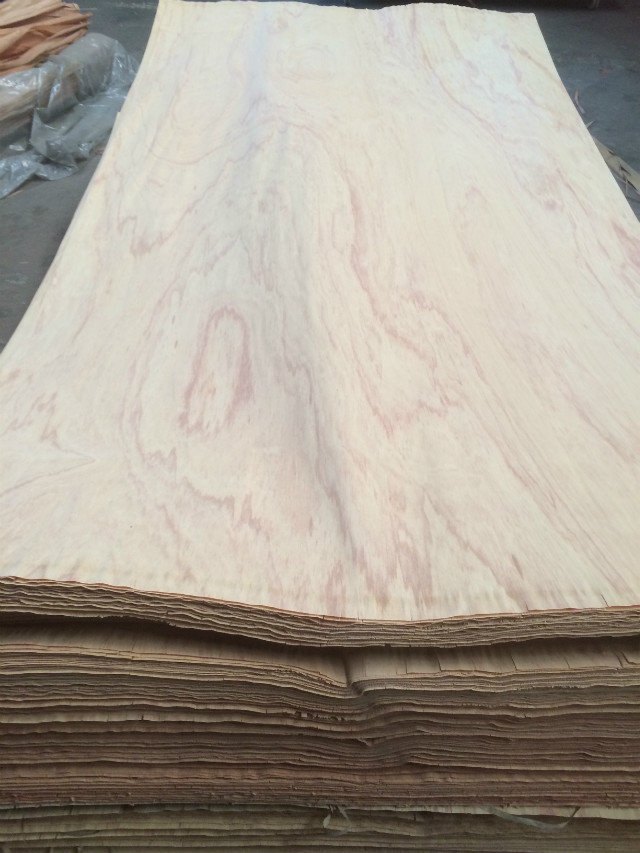 Thin Mersawa veneer sheets in a prepared stack