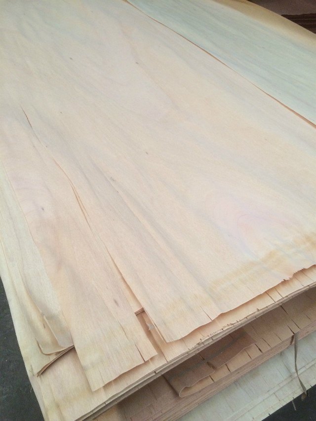 Stacked Mersawa veneer sheets